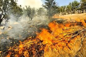 ۶ هکتار از جنگل‌های معمولان پلدختر در آتش سوخت