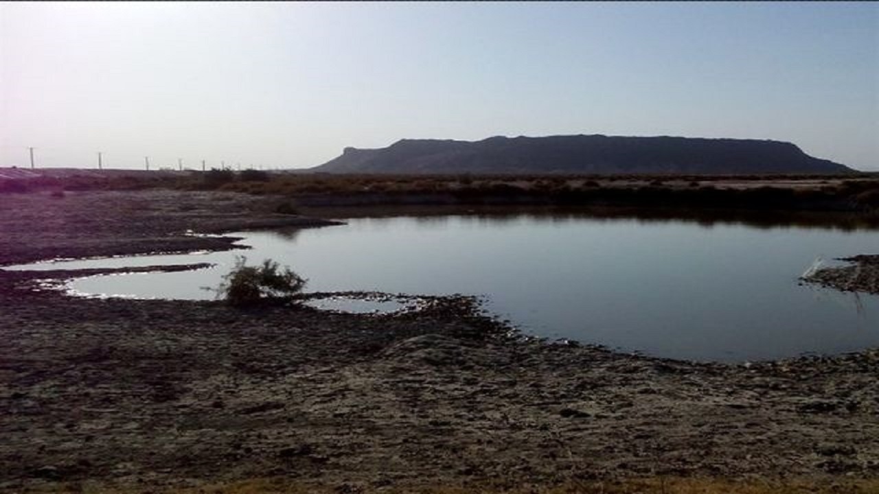 بزرگترین دریاچه آب شیرین فلات ایران در آستانه خشکیدگی/ تالاب هامون قربانی سدسازی