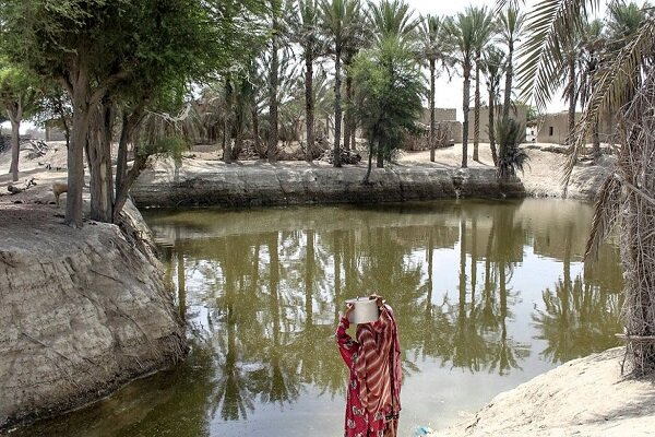 صدای بلند تمساح خیالی چیتگر وسکوت مرگبار قربانیان گاندوی بلوچستان