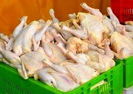 واکنش نایب رئیس کمیسیون کشاورزی به افزایش قیمت مرغ