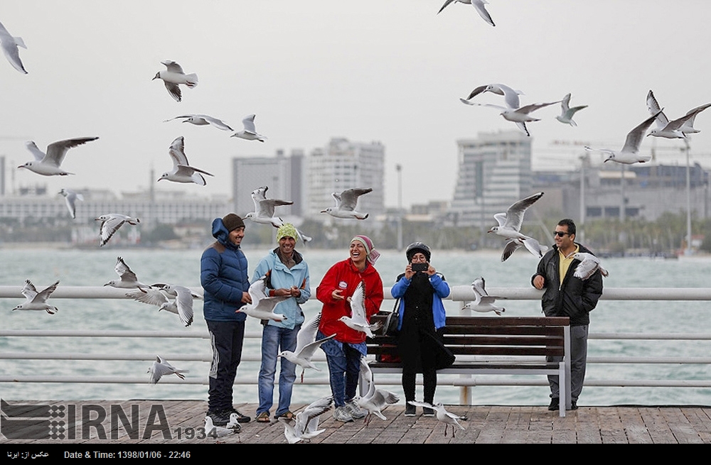فاطمه معتمدآریا رئیس هیاتداوران جشنواره تراوک شد فاطمه معتمدآریا رئیس هیاتداوران جشنواره تراوک شد