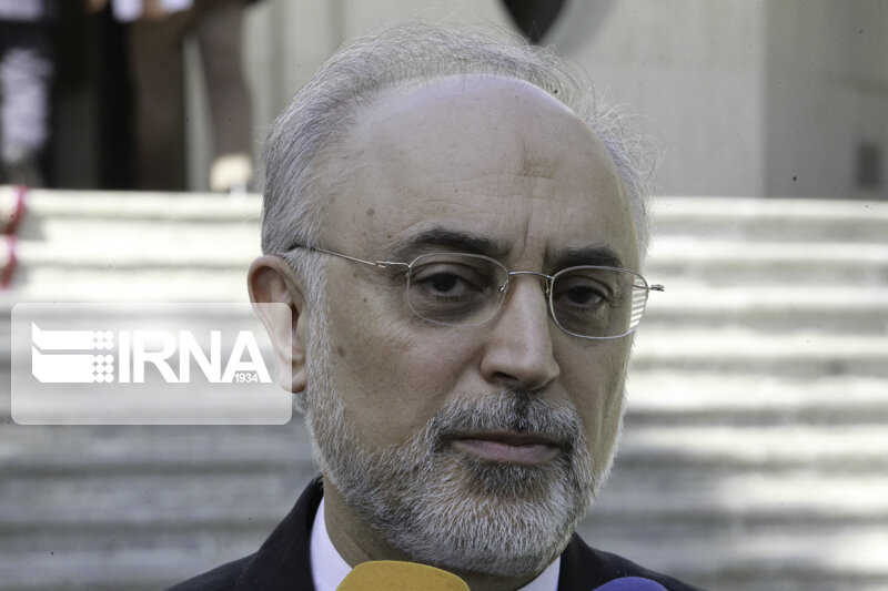 صالحی:شهید فخری زاده زیرساختهای پدافند هستهای را به نحو احسن ایجاد کرد صالحی:شهید فخری زاده زیرساختهای پدافند هستهای را به نحو احسن ایجاد کرد