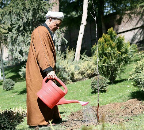 ما سلطان پسته نیستیم / ۴۰۰ نوع پسته در ایران هست