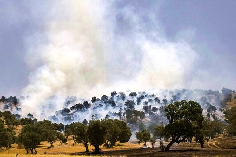 وجود خطر آتش‌سوزی در جنگل‌ها علیرغم کاهش بارش در سال جاری