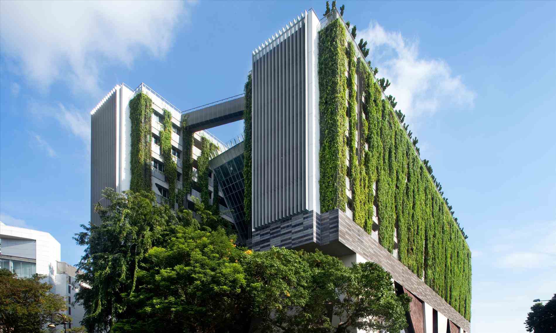 لایحه توسعه ساختمان سبز و معماری پایدار 