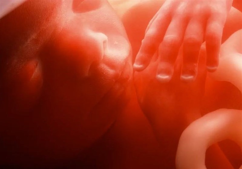 دیه جنین سقط شده صاحب روح۴۸۰ میلیون تومان! + جزئیات