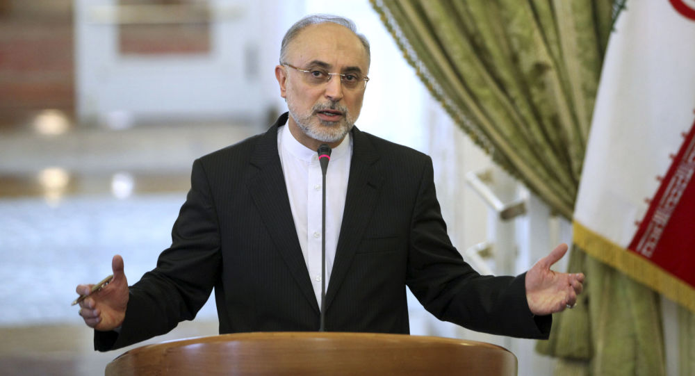 صالحی: ایران در بخش غنی‌سازی به آستانه‌ی این فناوری رسیده است