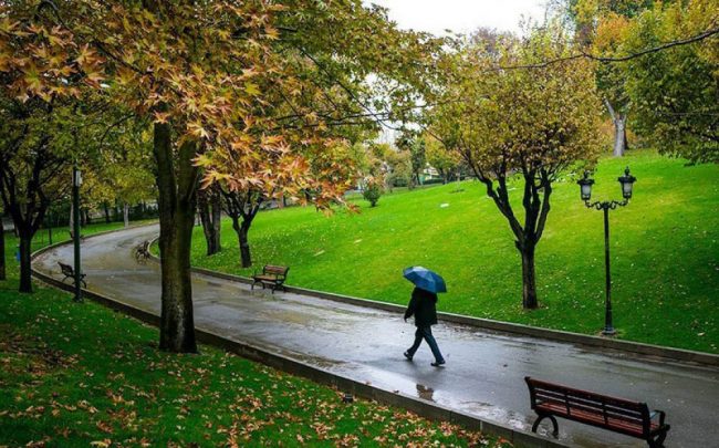 ۱۶۰ هکتار بوستان جنگلی در شمال تهران بهره برداری می‌شود