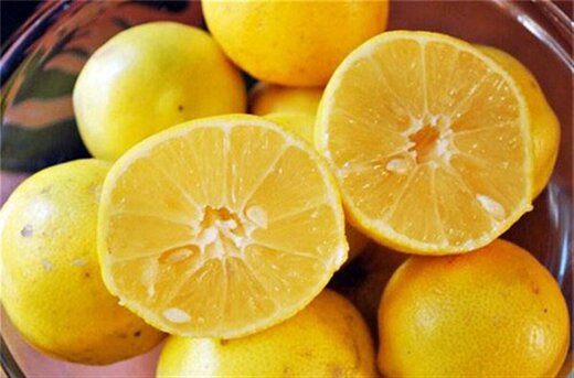قیمت قیمت لیمو شیرین 