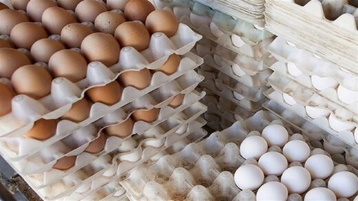 چرا تخم مرغ‌ها کوچک شده‌اند