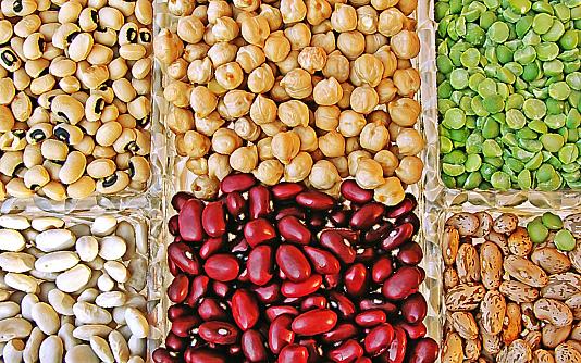 ۱۱ ماده غذایی موثر برای تقویت سیستم ایمنی بدن در برابر اُمیکرون