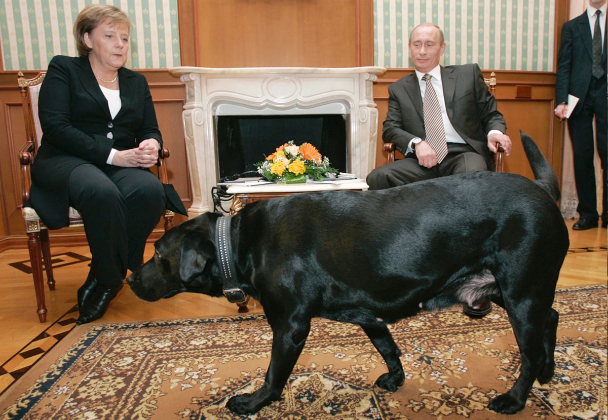 پوتین و استراتژی «سگ سیاه»