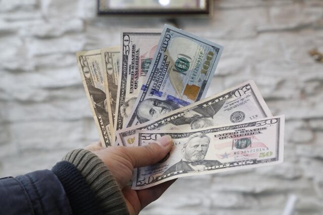 شاکری: مجلس به دولت مجوز حذف ارز ترجیحی را داد
