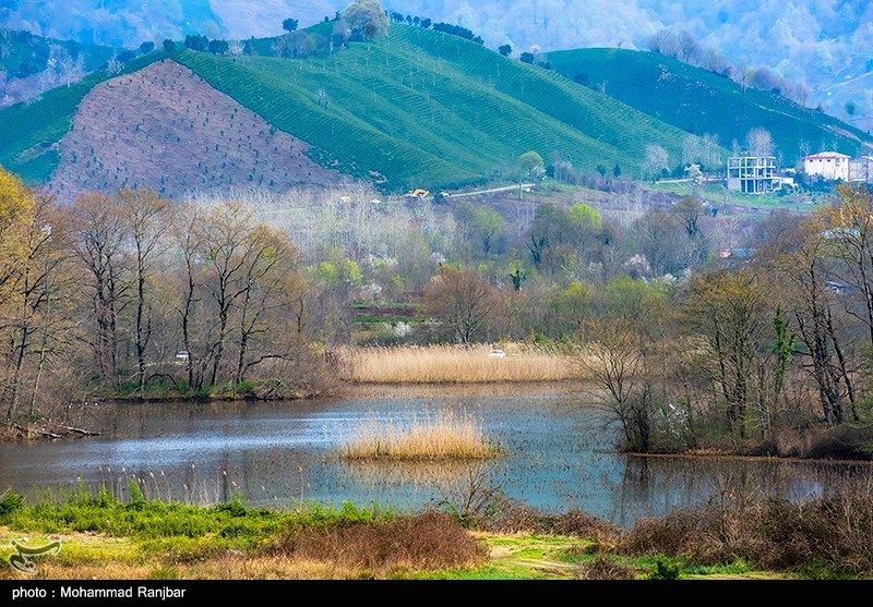 مناطق گردشگری لاهیجان/ گزارش تصویری