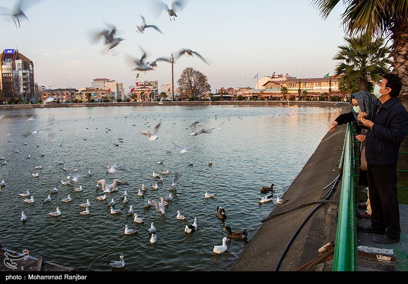 مناطق گردشگری لاهیجان/ گزارش تصویری