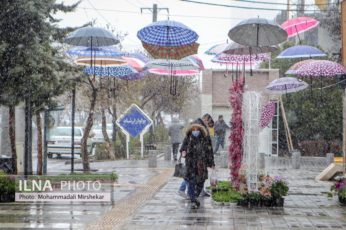 مشهد آماده میزبانی از زائران نوروز/ گزارش تصویری