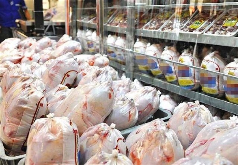 صادرات  مرغ در زمان ممنوعیت