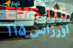 سقوط سمند در دره ی روستای قلعه بین لیسار حادثه ساز شد...