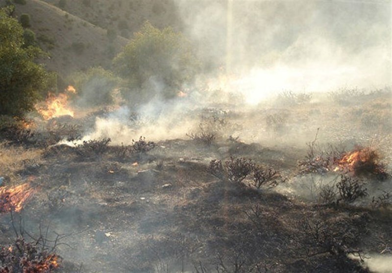 آتش در کوه‌های دشتستان