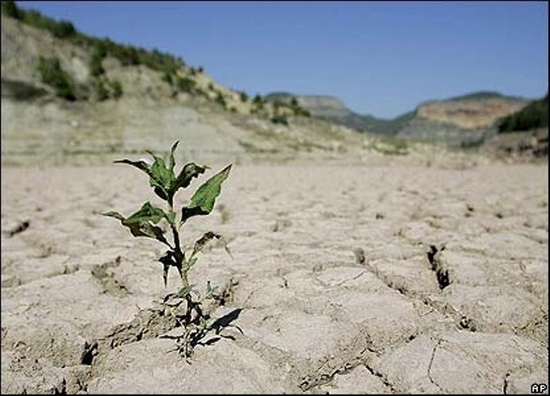 نکاتی درباره خشکسالی