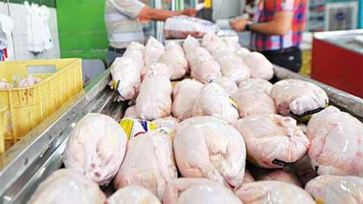 توزیع  مرغ گرم در بازار
