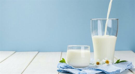دامداران درخواست افزایش حدود ۵۰ درصدی قیمت شیرخام را به دولت ارائه کردند