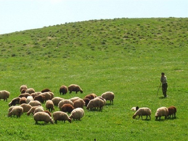 نبرد انسان و طبیعت در کالمند بهادران مهریز