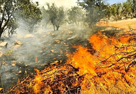قلب زاگرس در آتش؛ تنها اشک باقی مانده است!