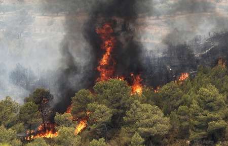 آتش‌سوزی جنگل‌های گچساران