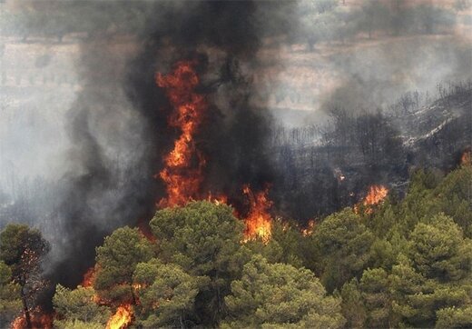 آتش سوزی در جنگل های گچساران