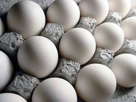  ممنوعیت صادرات تخم‌مرغ