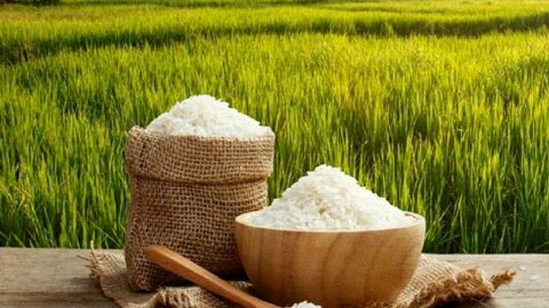 اُفت قیمت برنج در بازار + جزئیات برنج