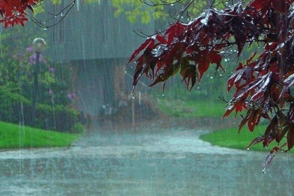 رگبار باران در برخی مناطق کشور