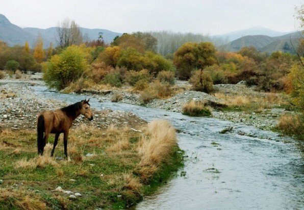 انتفادها از عبور مترو از پارک ملی و واکنش عجیب محیط‌زیست