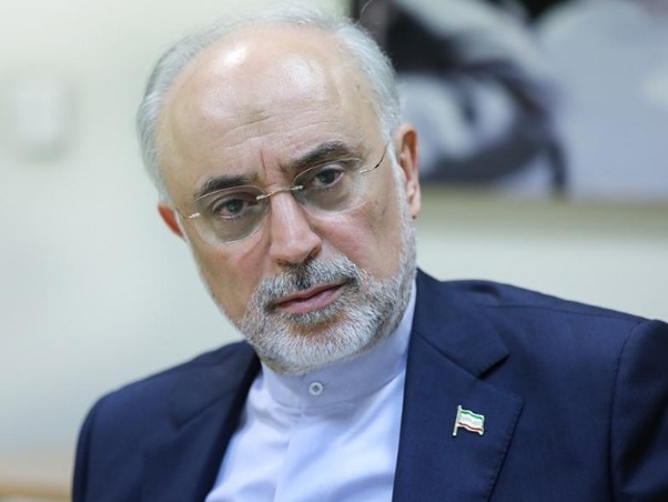 علی اکبر صالحی: در دوران ریاست‌جمهوری روحانی از منجنیق فلک سنگ فتنه می‌بارید
