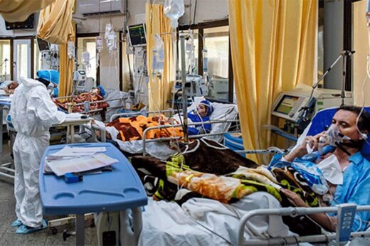فاجعه انسانی کرونا در ایران؛ مرگ ۵۶۸ نفر در یک روز/ بستری نزدیک به ۵هزار نفر