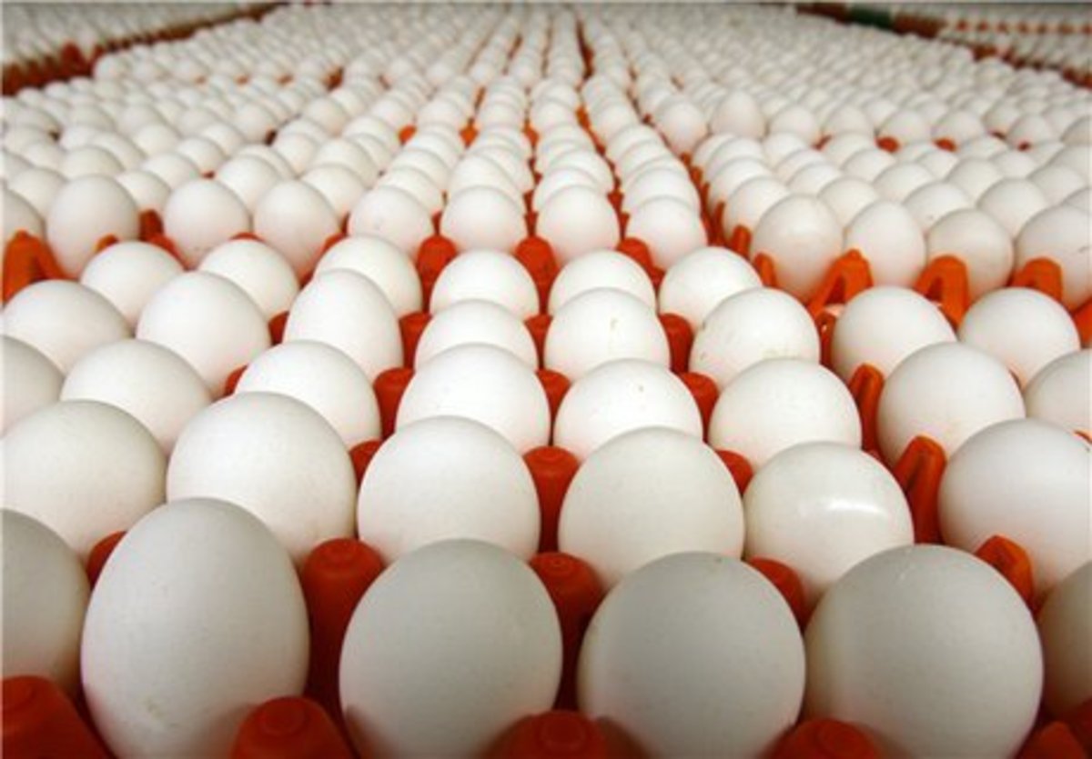 تخم مرغ ٣٥ هزار تومانى روحانى، ٦٠ هزار تومان شده!