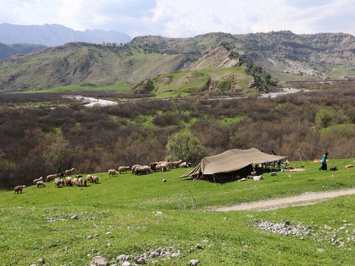 اختصاص ۵ میلیارد تومان تسهیلات با کارمزد رایگان به مناطق عشایری اندیکا