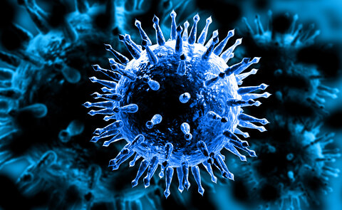 کشف یک مکانیسم ضد ویروس