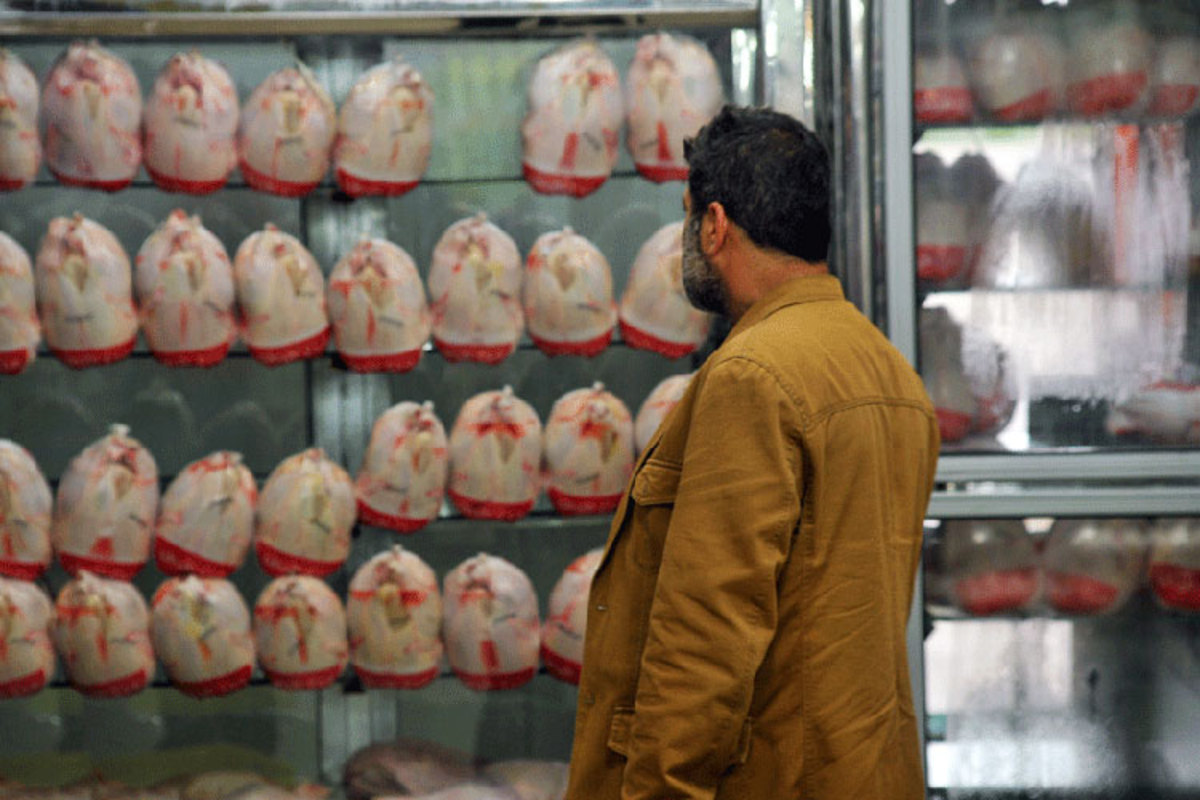 مرغ ارزان می‌شود؟