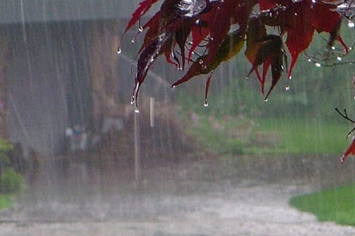 برف و باران در نیمه شمالی کشور