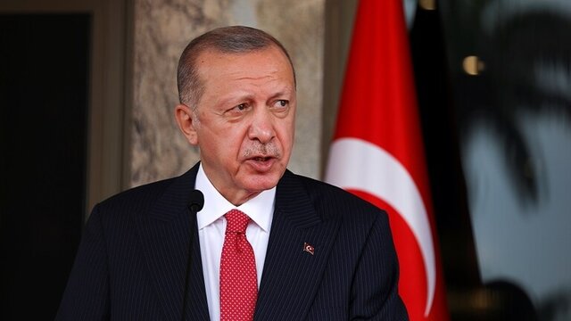 واکنش اردوغان به سقوط آزاد لیر
