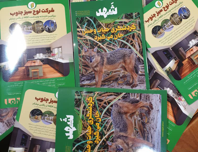 شماره جدید فصلنامه «شَهد» منتشر شد شماره جدید فصلنامه «شَهد» منتشر شد