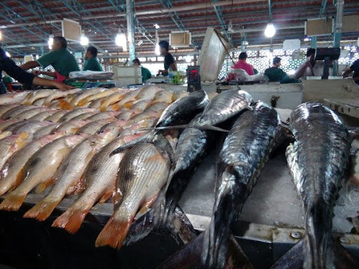 قاچاق گسترده ماهی به دوبی