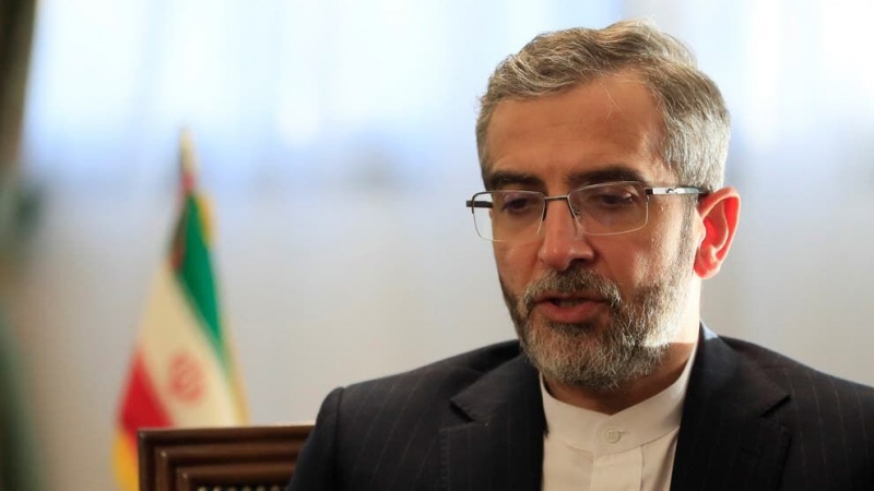 باقری کنی: ایران متن پیشنهادی خود را به گروه ۱+۴ تحویل داد