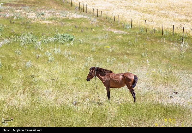 جاذبه های دیدنی اردبیل/ گزارش تصویری