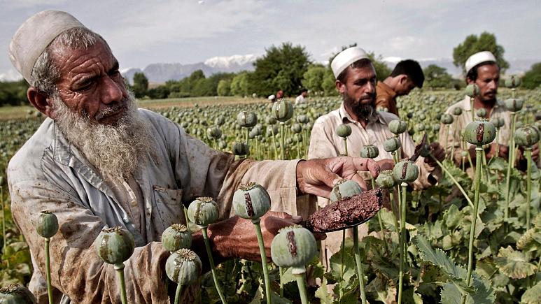 وابستگی اقتصاد افغانستان به تریاک قطع می‌شود؟