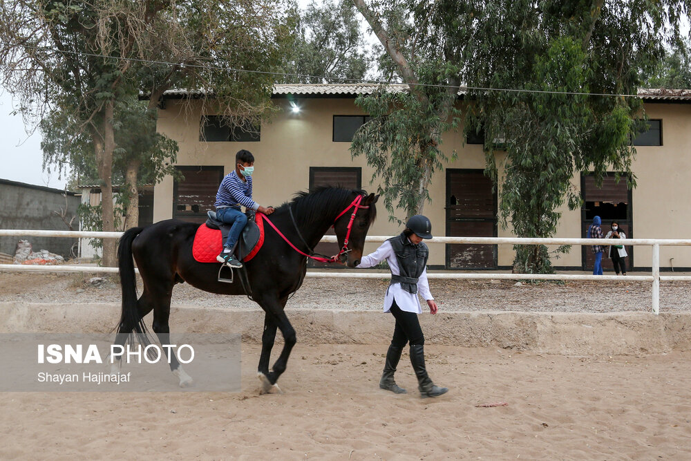 سوار بر اسب «آرزوها»/ گزارش تصویری