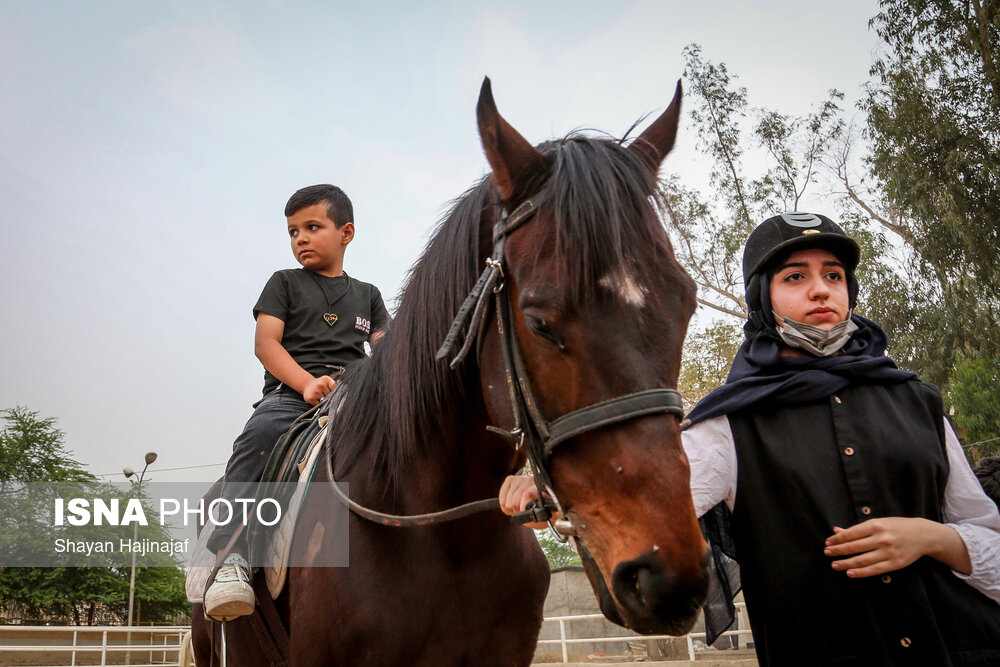 سوار بر اسب «آرزوها»/ گزارش تصویری