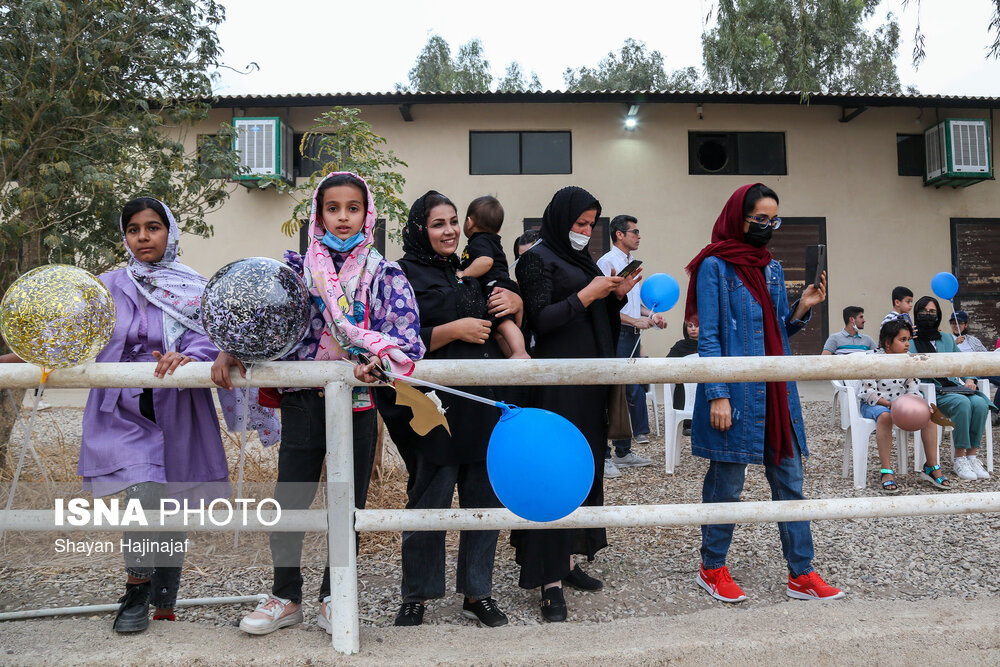 سوار بر اسب «آرزوها»/ گزارش تصویری